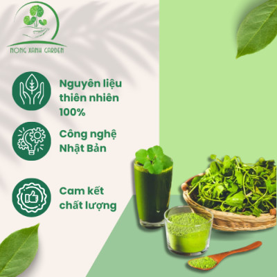 Nông Xanh Garden Combo 4 Hộp Bột Rau Má Thủy Canh Nguyên Chất + Nguyên Chất Có Đường + Đậu Xanh Cốt Dừa + Hạt Sen Hộp 15 gói hòa tan uống liền, dễ uống, thanh nhiệt, thải độc, làm đẹp da