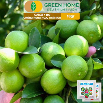 Phân Bón Canxi Bo Greenhome, Viên 10Gr, Tăng Đậu Trái, Chống Rụng Hoa Và Trái Non, Chống Thối Trái