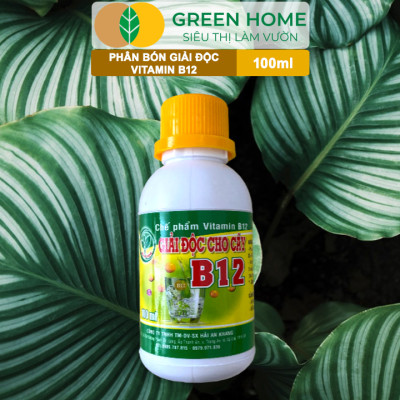 Chế Phẩm Vitamin B12 Greenhome, Chai 100ml, Chống Sốc, Phục Hồi Giải Độc Cho Lan, Cây Cảnh Khi Bị Bón Phân Quá Liều