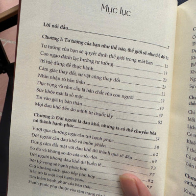 KẺ ĐIÊN VÀ THÁNH NHÂN - Trí Huệ Từ Bậc Thầy Schopenhauer - Diệp Châu - Chen Yu Xuan Dịch - Bizbooks