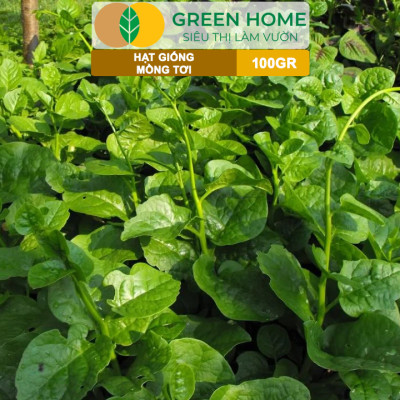 Hạt Giống Rau Mồng Tơi GreenHome, GÓI 100GR, Dễ Trồng Quanh Năm, Nảy Mầm Cao,Năng Suất Cao R30