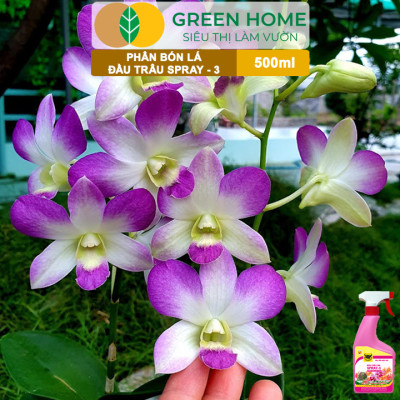 Phân Bón Lá Đầu Trâu Spray-3 Greenhome, Bình Điền, Chai 500ml, Dưỡng Hoa Lâu Tàn, Chuyên Lan Và Hoa