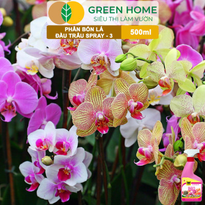 Phân Bón Lá Đầu Trâu Spray-3 Greenhome, Bình Điền, Chai 500ml, Dưỡng Hoa Lâu Tàn, Chuyên Lan Và Hoa