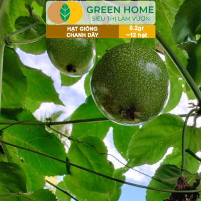 Hạt Giống Chanh dây Greenhome, Gói 0,2g~12 hạt, Dễ Trồng Quanh Năm,Thu Hoạch Nhanh, Năng Suất Cao T21