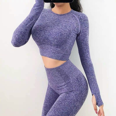 Áo Quần Tập Yoga Gym Nữ Dệt Kim Dài Tay