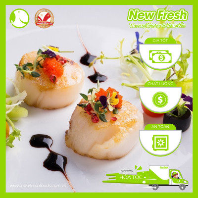  Cồi Sò Điệp Nhật Bản Sashimi Hokkaido - Hộp 1Kg