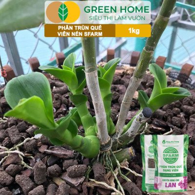 Phân Trùn Quế Viên Nén Greenhome, Sfarm, Bao 1kg, Dinh Dưỡng Hữu Cơ, Không Mùi, Tốt Cho Lan, Bonsai, Rau, Cây Ăn Trái