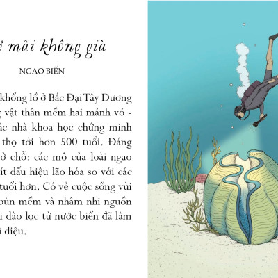 Sống Một Đời Tựa Biển Khơi - Những Bài Học Trí Tuệ Nhẹ Nhàng Của Đại Dương