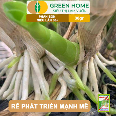 Phân Bón Lá Greenhome, Siêu Lân 60+, Gói 30gr, Phát Triển Rễ, Tạo Mầm Hoa, Kích Ra Hoa
