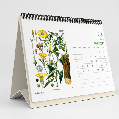 Lịch Bàn 2025 - Desk Calendar Nguyễn Trắc - Wild Flower and Herb