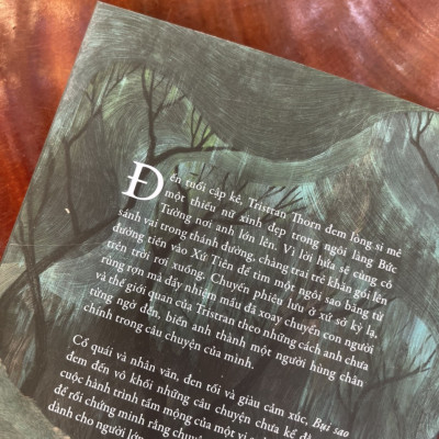 BỤI SAO – Neil Gaiman – Huyền Vũ dịch – Nhã Nam – NXB Hà Nội (Bìa mềm)