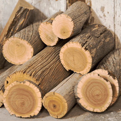 Tinh dầu gỗ Tuyết Tùng/Hoàng Đàn (Cedarwood Essential Oil ) nguyên chất từ thiên nhiên, xông phòng, khử mùi, thơm phòng, đuổi muỗi - KingOil