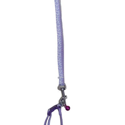 Dây dắt kèm vòng cổ có chuông cho Chó Mèo Dưới 5kg Bản rộng 1cm Dài 120cm Zichen In hình bất kỳ Chất liệu dù cao cấp
