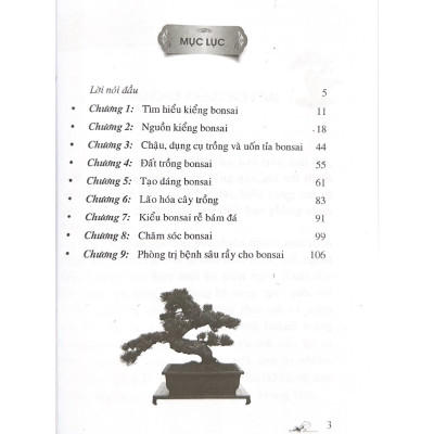 110 Câu Hỏi Đáp Chăm Sóc Và Tạo Dáng Bon Sai (Tái Bản) - Vanlangbooks