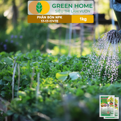 Phân Bón NPK 17-17-17, Greenhome, Gói 1kg, Bung Chồi Đọt, Thúc Nút Kim, Tạo Mầm Dưỡng Hoa