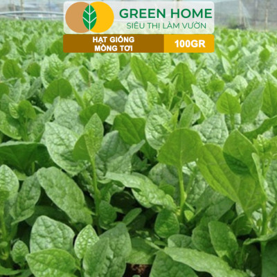 Hạt Giống Rau Mồng Tơi GreenHome, GÓI 100GR, Dễ Trồng Quanh Năm, Nảy Mầm Cao,Năng Suất Cao R30
