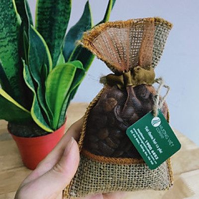 Combo siêu hot 5 túi thơm cafe hương tự nhiên