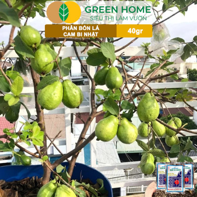 Phân Bón Lá Trung Vi Lượng CamBi Nhật, GreenHome,Gói 40Gr, Siêu Tăng Trưởng Cho Cây Trồng