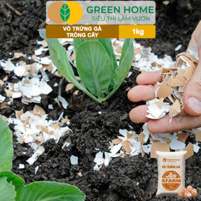 Vỏ Trứng Gà Trồng Cây Greenhome, Sfarm, Bao 1kg, Phân Bón Hữu Cơ, Ngăn Chặn Ốc Sên, Cải Tạo Đất, Chống Côn Trùng, Sâu Bọ