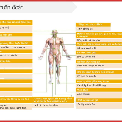 Thức Uống Thải Độc GLUTA 59S