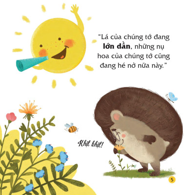 Truyện Kể Bốn Mùa - Nhím Con Ham Học Hỏi - Món Quà Của Mùa Hè