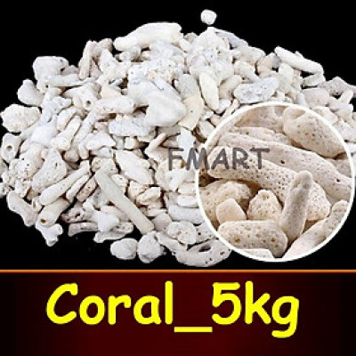 5KG San Hô Vụn vật liệu lọc hồ cá, trang trí bể cá, hồ thủy sinh cao cấp