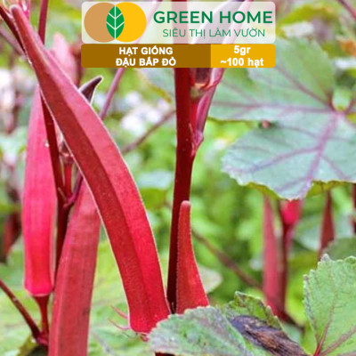 Hạt Giống Đậu Bắp Đỏ Greenhome, Gói 5gr~100 hạt, Dễ Trồng Quanh Năm, Nảy Mầm Cao, Thu Hoạch Nhanh T34