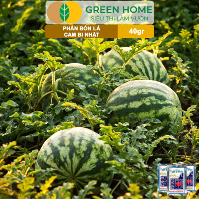 Phân Bón Lá Trung Vi Lượng CamBi Nhật, GreenHome,Gói 40Gr, Siêu Tăng Trưởng Cho Cây Trồng