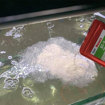 Vi sinh bột Mosura BT-9 Bacteria BT9 trải nền setup bể cá tép thủy sinh