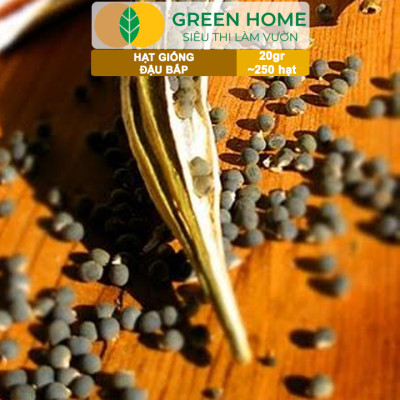 Hạt Giống Đậu Bắp Greenhome, Gói 10gr, Dễ Trồng Quanh Năm, Nảy Mầm Cao, Thu Hoạch Nhanh, Năng Suất Cao T06