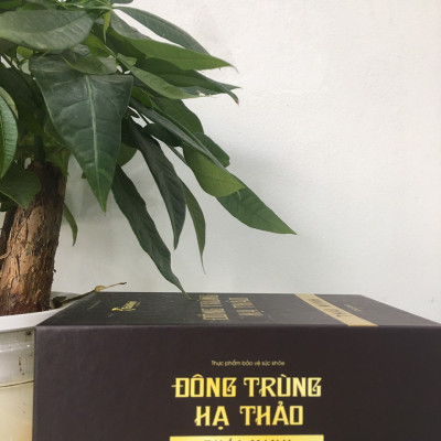 Đông trùng hạ thảo Thái Minh- Bồi bổ cơ thể, tăng cường sức khỏe