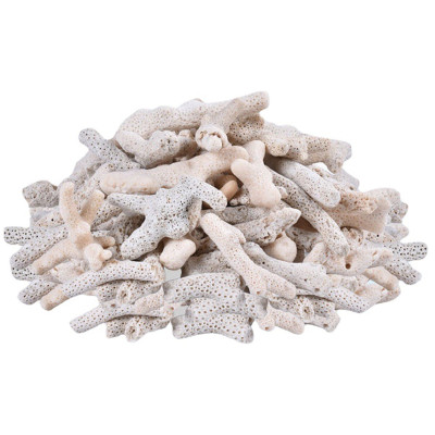 4KG San Hô Vụn vật liệu lọc hồ cá, trang trí bể cá, hồ thủy sinh cao cấp 