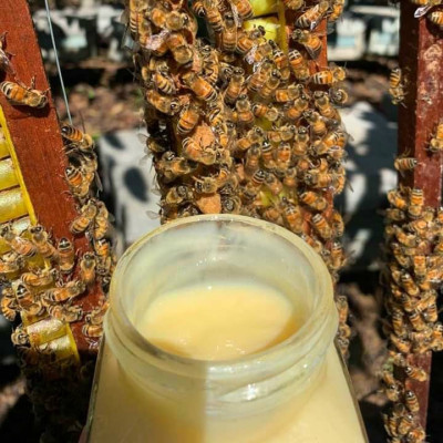 Sữa ong chúa tươi nguyên chất HONIMORE 300g - bồi bổ sức khỏe, da căng mịn