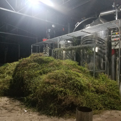 Tinh dầu Đinh hương 100ml nguyên chất từ thiên nhiên - Mộc Mây