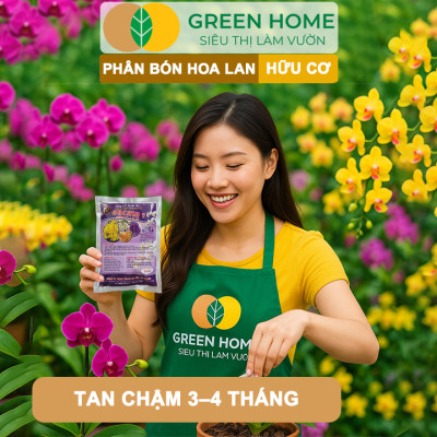Phân Bón Lan Greenhome, Bao 36 Túi Lưới, Tan Chậm, Không Mùi Hôi, Dưỡng Lan Ra Rễ, Xanh Tốt, Dùng Tốt Cho Sen Đá, Kiểng