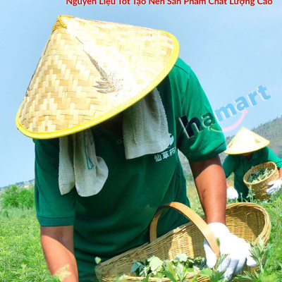 Hộp 12 Miếng Cao Dán Ngải Cứu Xương Khớp Hamart Giảm Đau Mỏi Khớp Cổ Vai Gáy Cột Sống Lưng