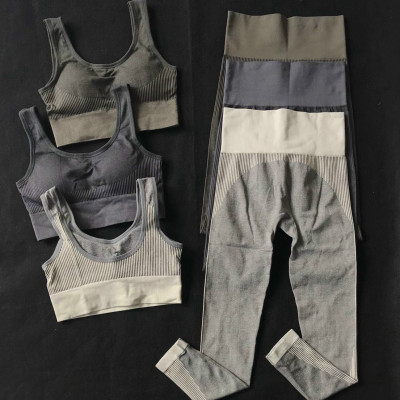 Áo Bra Quần Dài Dệt Kim Dày Nâng Cơ Tập Yoga Gym