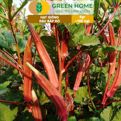 Hạt Giống Đậu Bắp Đỏ Greenhome, Gói 5gr~100 hạt, Dễ Trồng Quanh Năm, Nảy Mầm Cao, Thu Hoạch Nhanh T34