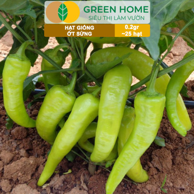 Hạt Giống Ớt Sừng Greenhome, Gói 0,2g~25 hạt, Dễ Trồng Quanh Năm,Thu Hoạch Nhanh, Năng Suất Cao G15