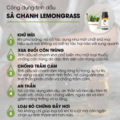Combo 3 Tinh Dầu Kobi Nhập Khẩu Ấn Độ: Tinh Dầu Sả Chanh (30ml) + Tinh Dầu Bạc Hà (30ml) + Tinh Dầu Cam Ngọt (30ml) - Tinh Dầu Thiên Nhiên Nguyên Chất, Giúp Giảm Stress, Xua Đuổi Côn Trùng Và Khử Mùi Hiệu Quả, Thích Hợp Dùng Với Đèn Xông Và Máy Khuếch Tán