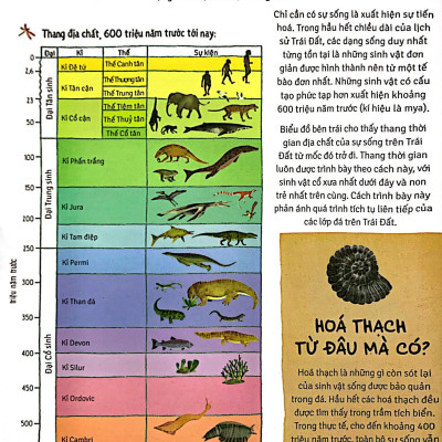 Thời Cá Voi Biết Đi