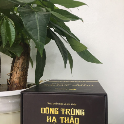 Đông trùng hạ thảo Thái Minh- Bồi bổ cơ thể, tăng cường sức khỏe