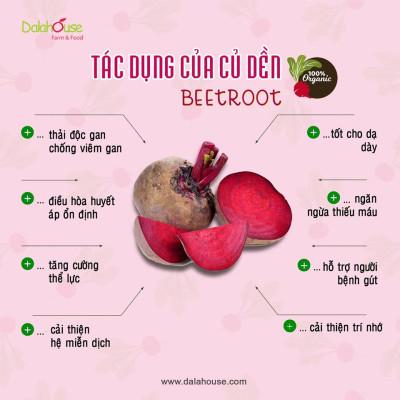 Bột củ dền hữu cơ sấy lạnh Dalahouse - Hộp 20 gói 3gr tiện lợi - Thúc đẩy sức khỏe tim mạch, hỗ trợ giải độc gan, tăng cường thể lực