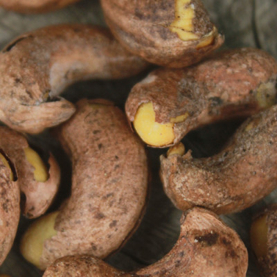 Combo Sen Sấy Gừng Mật Ong Hải Long (230g) + Hạt Điều Rang Muối Vỏ Lụa Hải Long (250g)